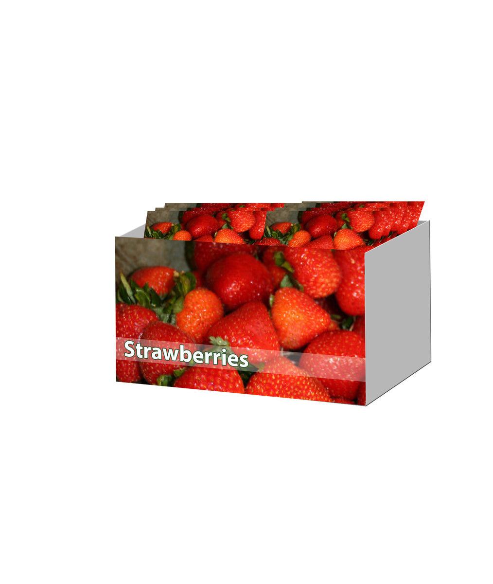 Everbearing Strawberries Unit 15106 Holland Beauty Flower & Bulb Corporation