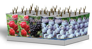 Assorted Berries in Plastic Containers Unit #15004