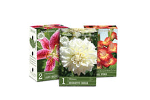 Bulb Fields of Holland Spring Flower Bulb Display in Color Retail Impulse Boxes Unit #15100
