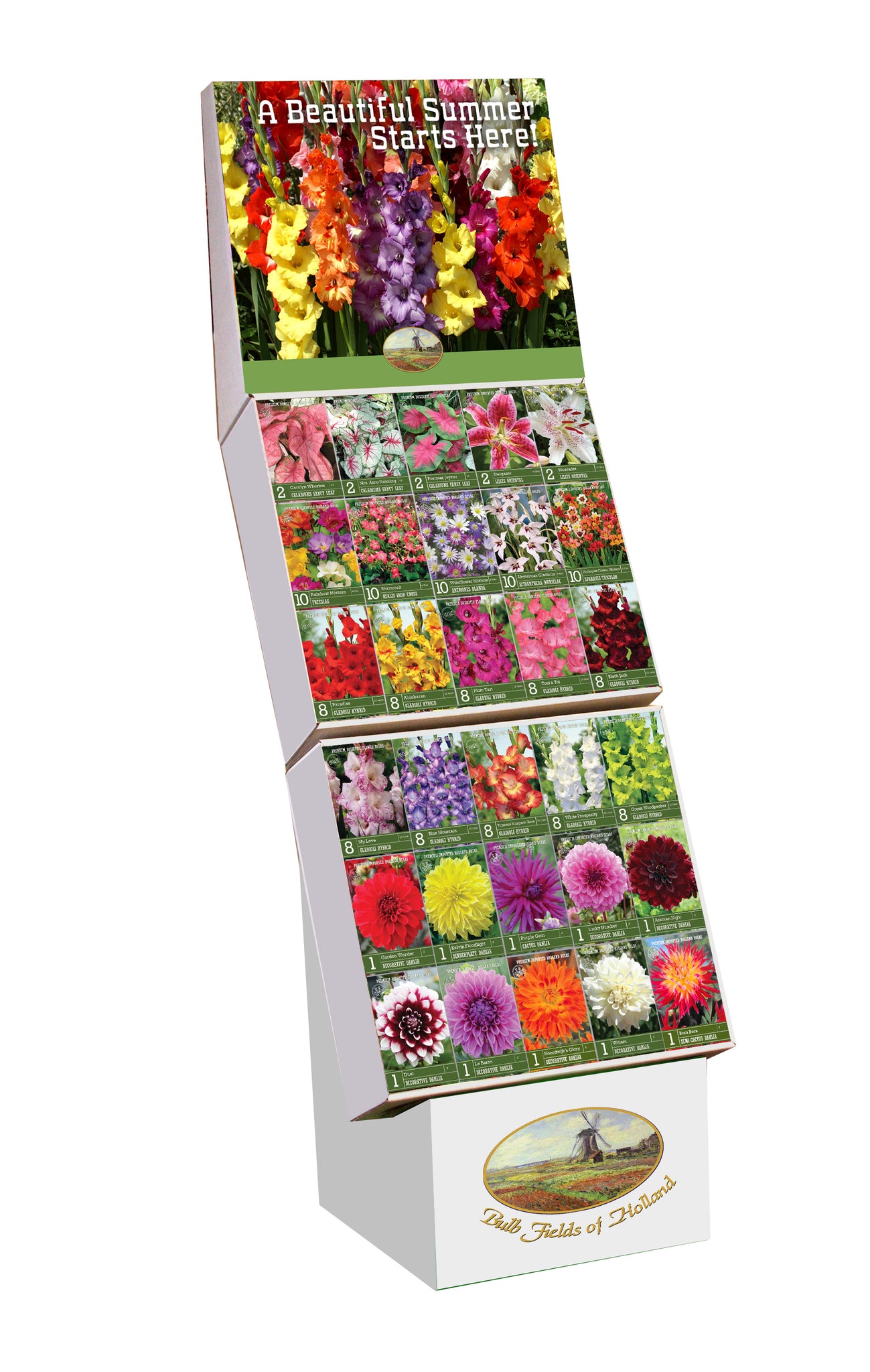 Bulb Fields of Holland Spring Flower Bulb Display in Color Retail Impu ...