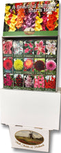 Bulb Fields of Holland Spring Flower Bulb Display in Color Retail Impulse Boxes Unit #15111