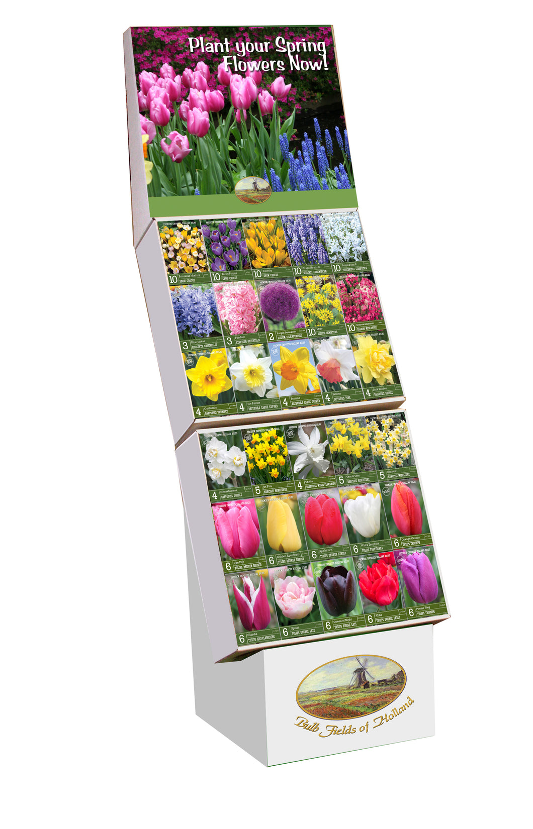 Bulb Fields of Holland Fall Bulb Display in Color Retail Impulse Boxes Unit #25100