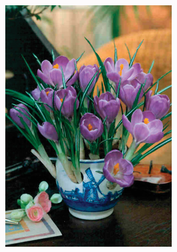 delft plant pot Indoor Delft Blue Ceramic Bowl Kits/Crocus