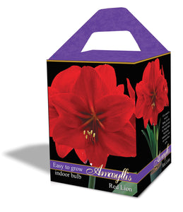 Friend of the Earth Amaryllis/Paperwhite Indoor Growing Kits - Unit #26236